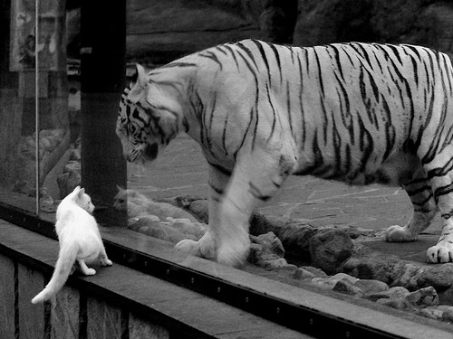 开云下载-体育新闻中心发布国家运动员注册开放窗口时间，运动员注册官网